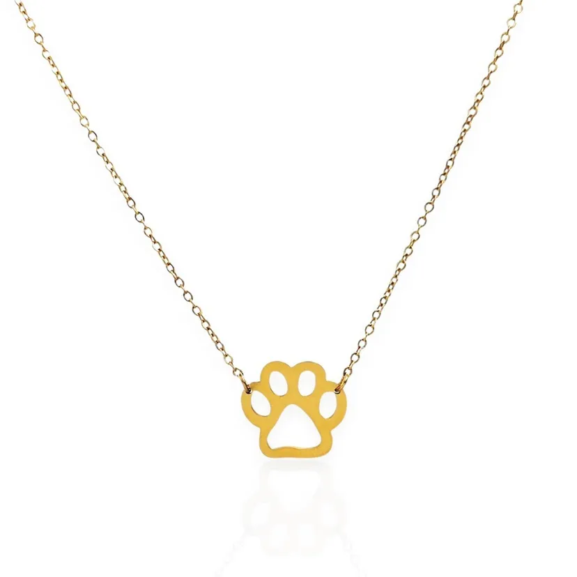 Zampa Liscia-Collana Corta in Acciaio - CAC-413-2025