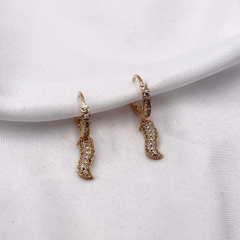 Cerchio con Cornino-Orecchini con Zirconia - OMZ-109-Cornino