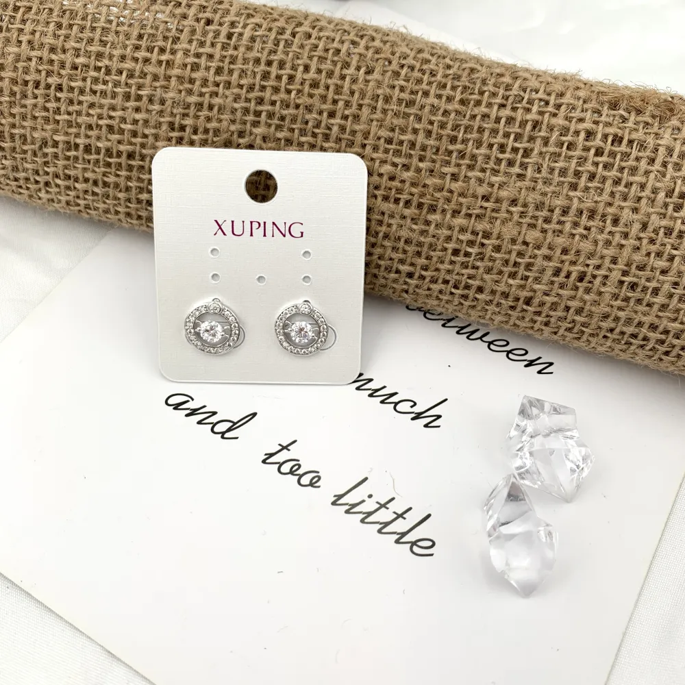 Cerchio con Punto Luce-Orecchini con Zirconia - OMZ-XP5461