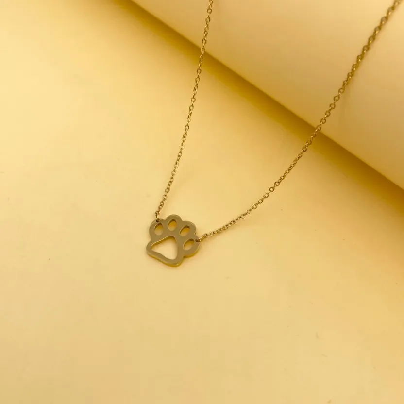 Zampa Liscia-Collana Corta in Acciaio - CAC-413-2025