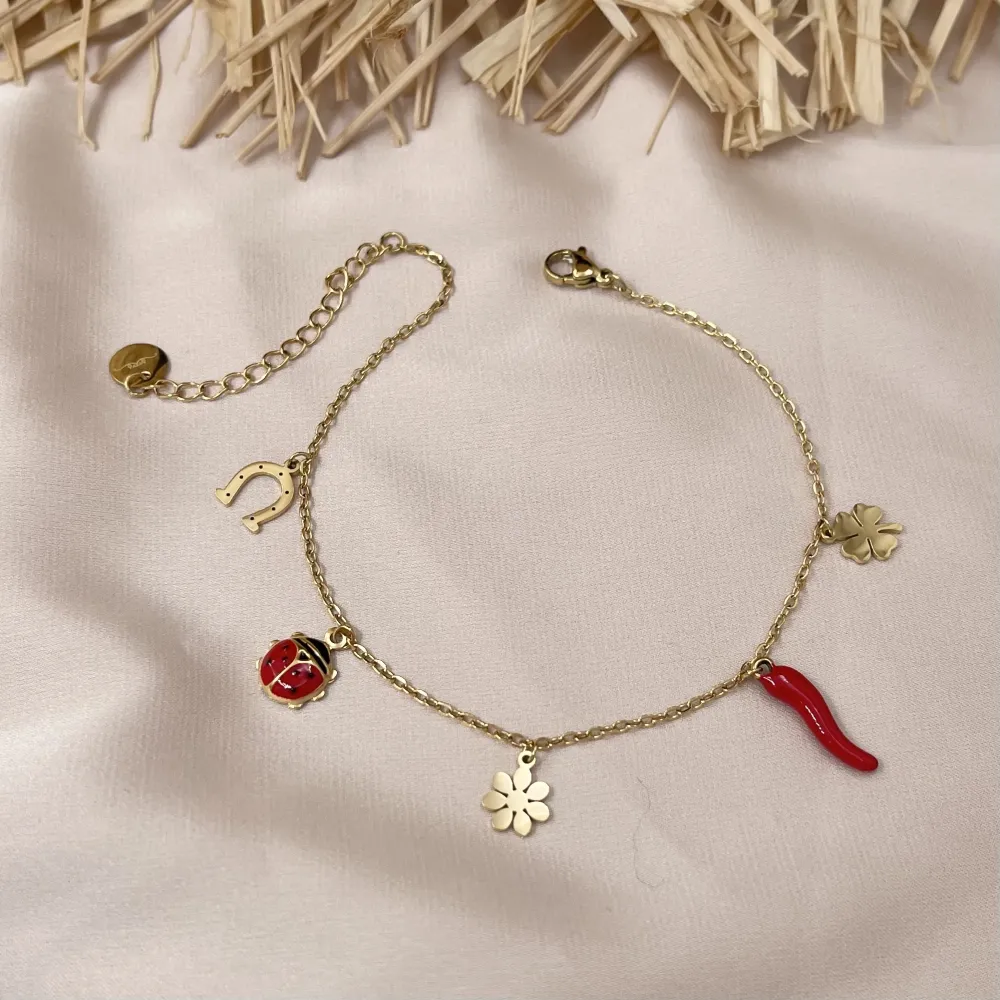 Fortuna Coccinella-Cavigliera in Acciaio - KAV-103-AA834B