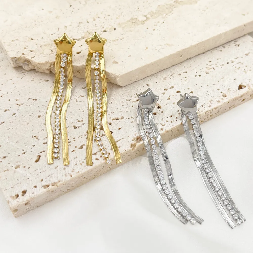 Stella e Napine -Orecchini in Acciaio - OAP-413-2421