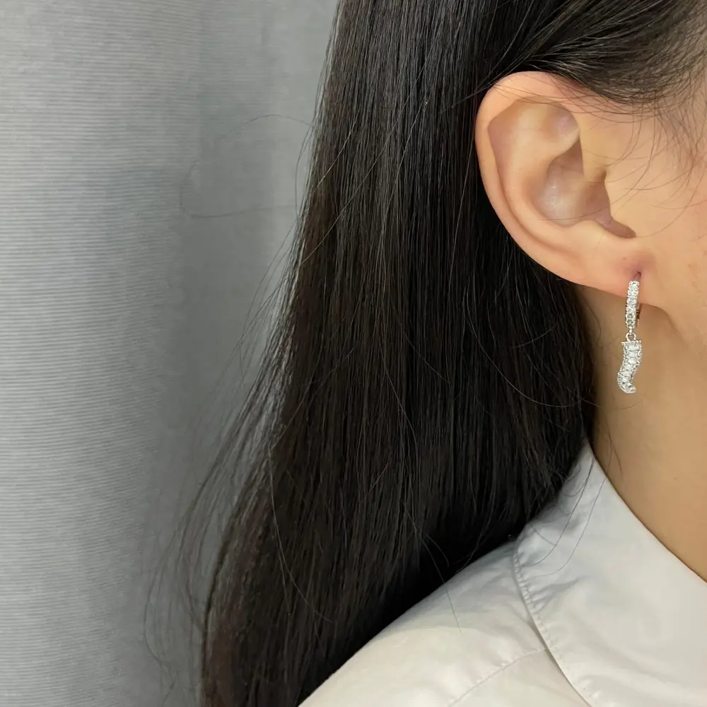 Cerchio con Cornino-Orecchini con Zirconia - OMZ-109-Cornino