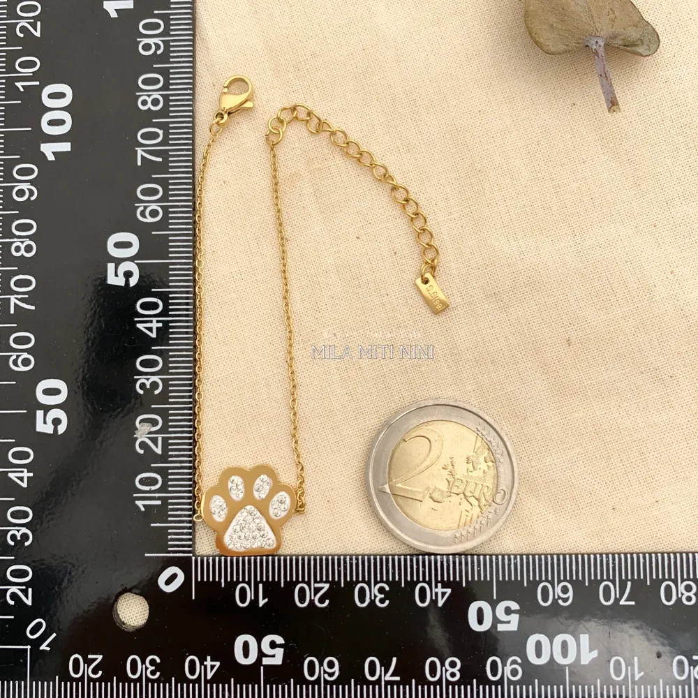 BAC413-2393-Zampa-Bracciale in Acciaio - BAC413-2393