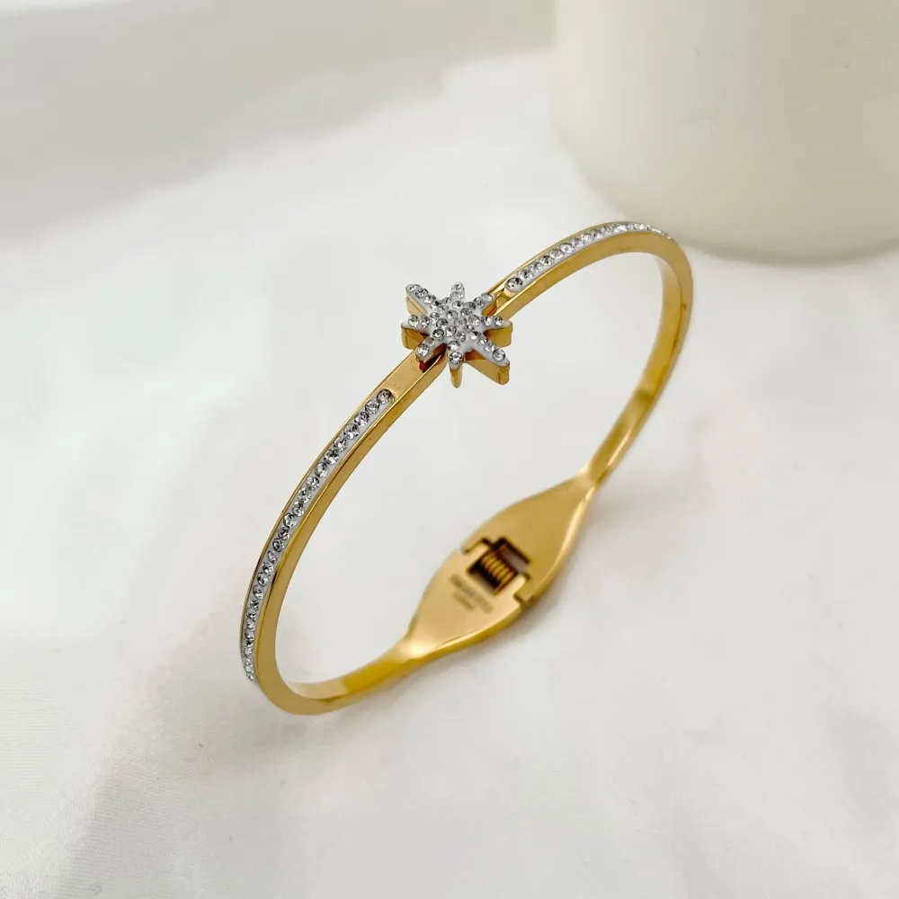 Stella Polare-Bracciale Rigido in Acciaio - BAR-413-1320