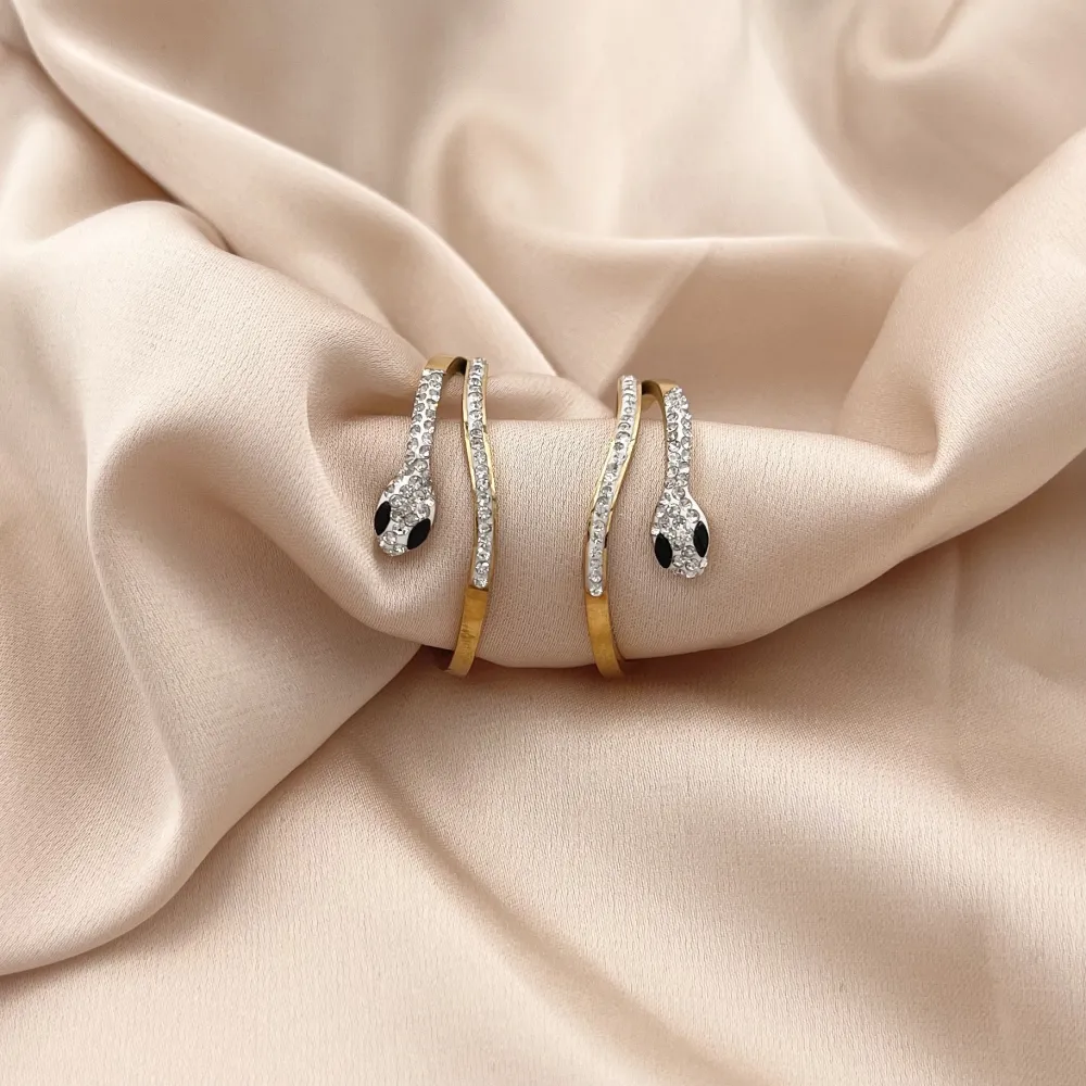 Serpente Cerchio-Orecchini in Acciaio - OAP-413-1042