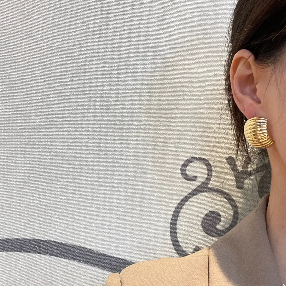 Doppia Goccia -Orecchini in Acciaio - OAP-413-2073