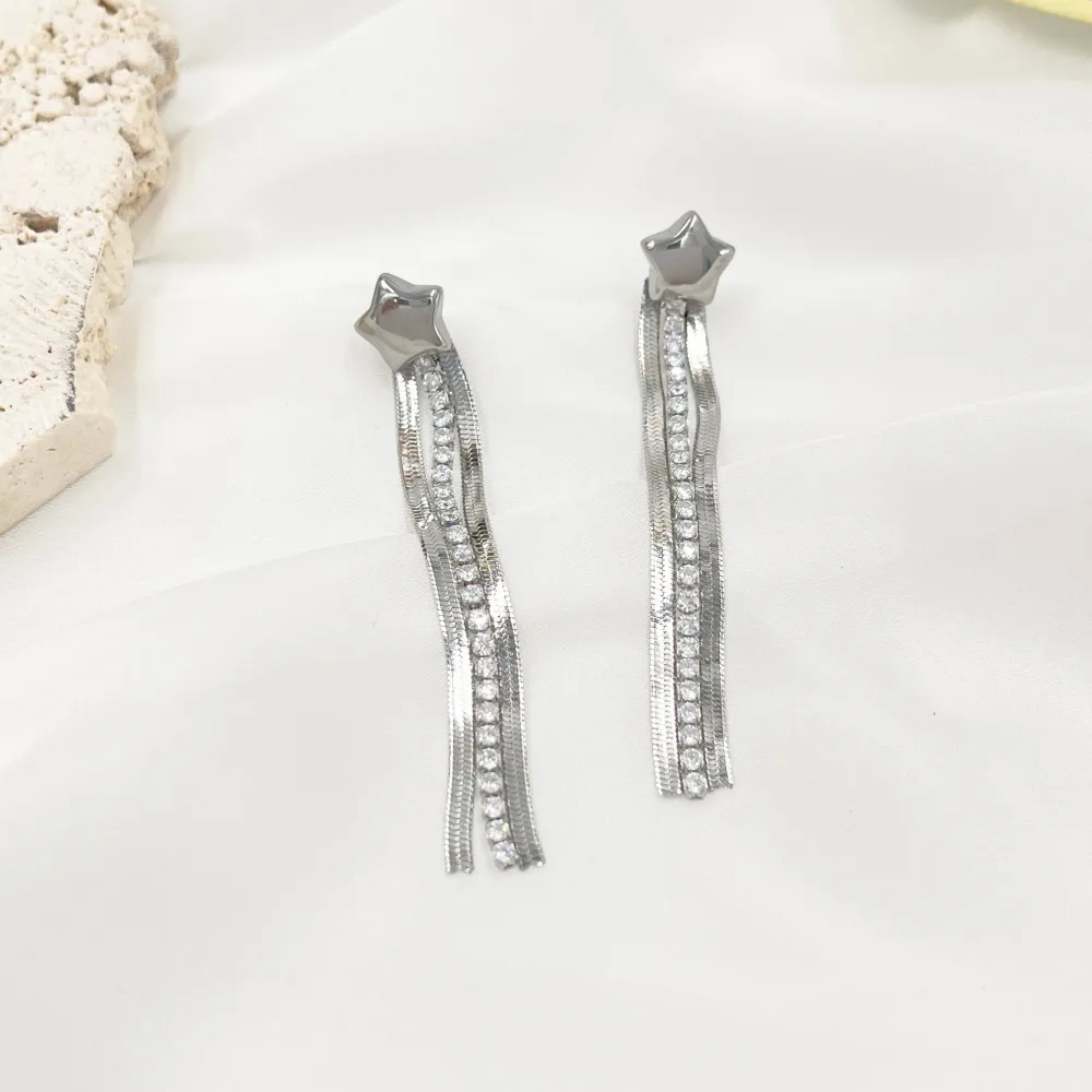 Stella e Napine -Orecchini in Acciaio - OAP-413-2421