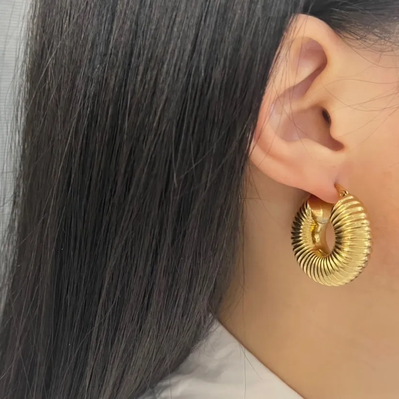 Cerchio-Orecchini in Acciaio - OAP-450-471