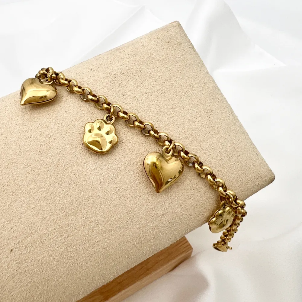 Cuore Zampa -Bracciale in Acciaio - BAC-103-AA4519B