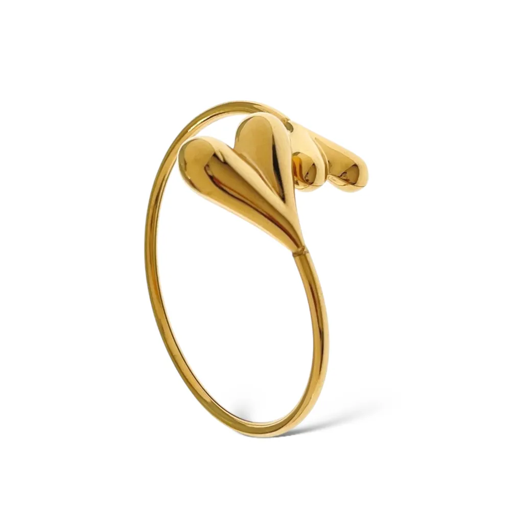 Doppio Cuore  -Bracciale Rigido in Acciaio - BAR-413-7277