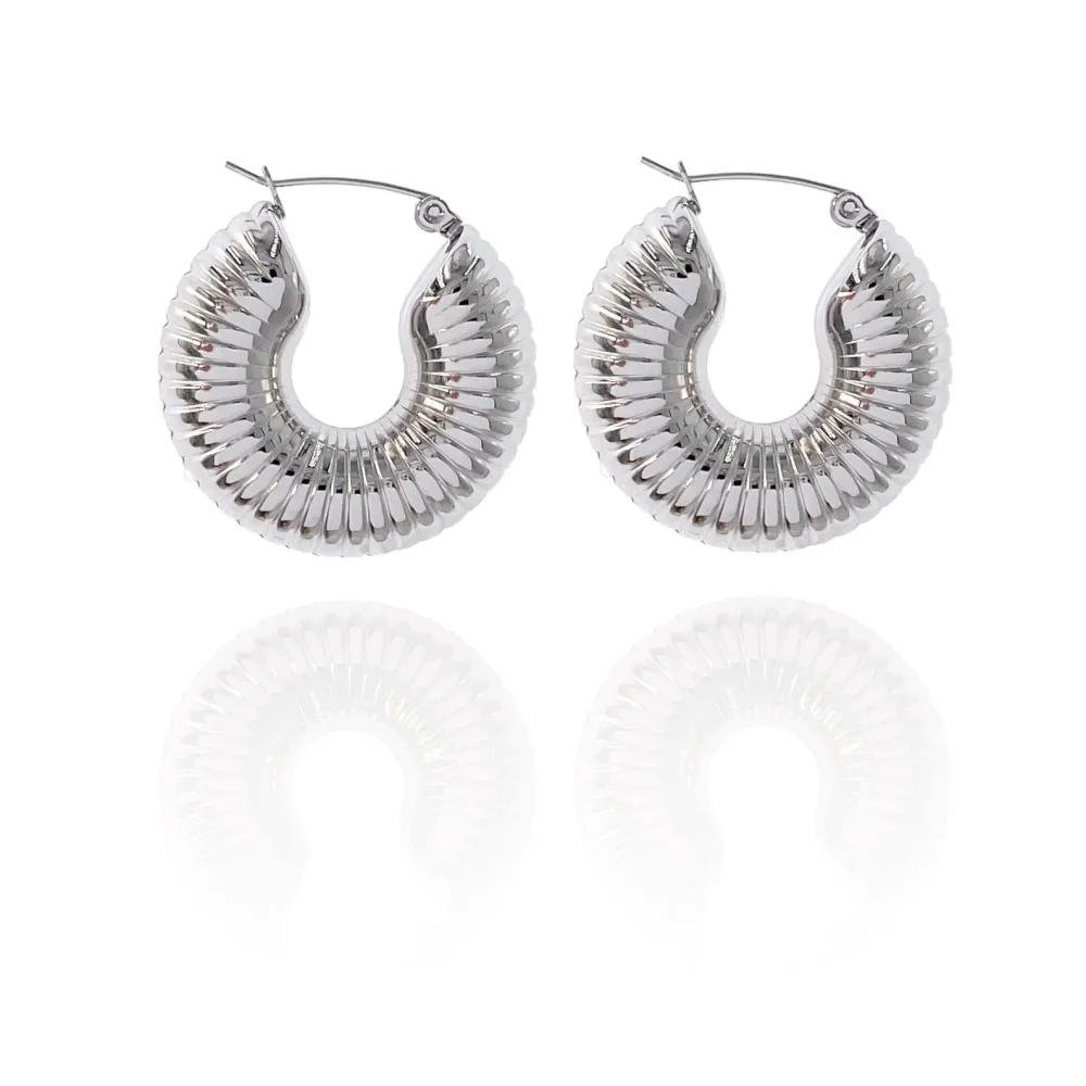 Cerchio-Orecchini in Acciaio - OAP-450-471