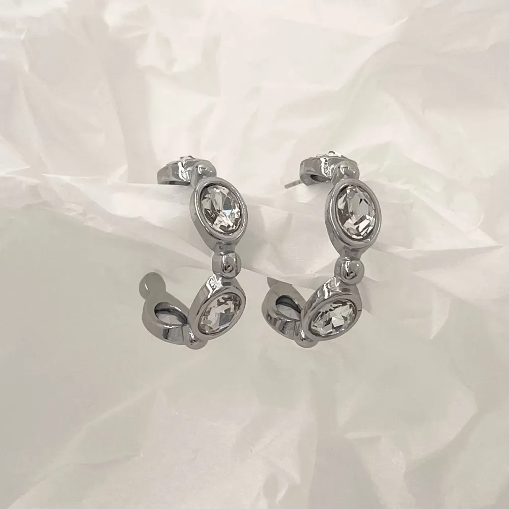 Cerchio -Orecchini in Acciaio - OAP-732-100