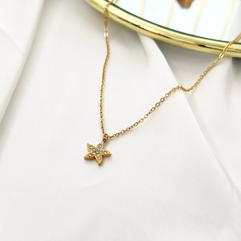 Stella Marina-Collana Girocollo in Acciaio - CAC-103-AA3490N