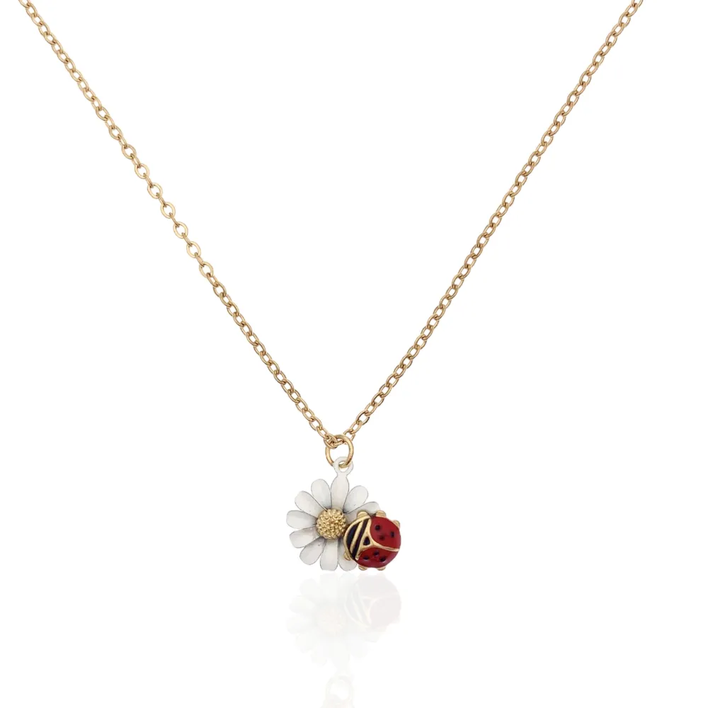 Mix Coccinella Smaltata-12pz Collane Corte in Acciaio - CPA-103-AA894N