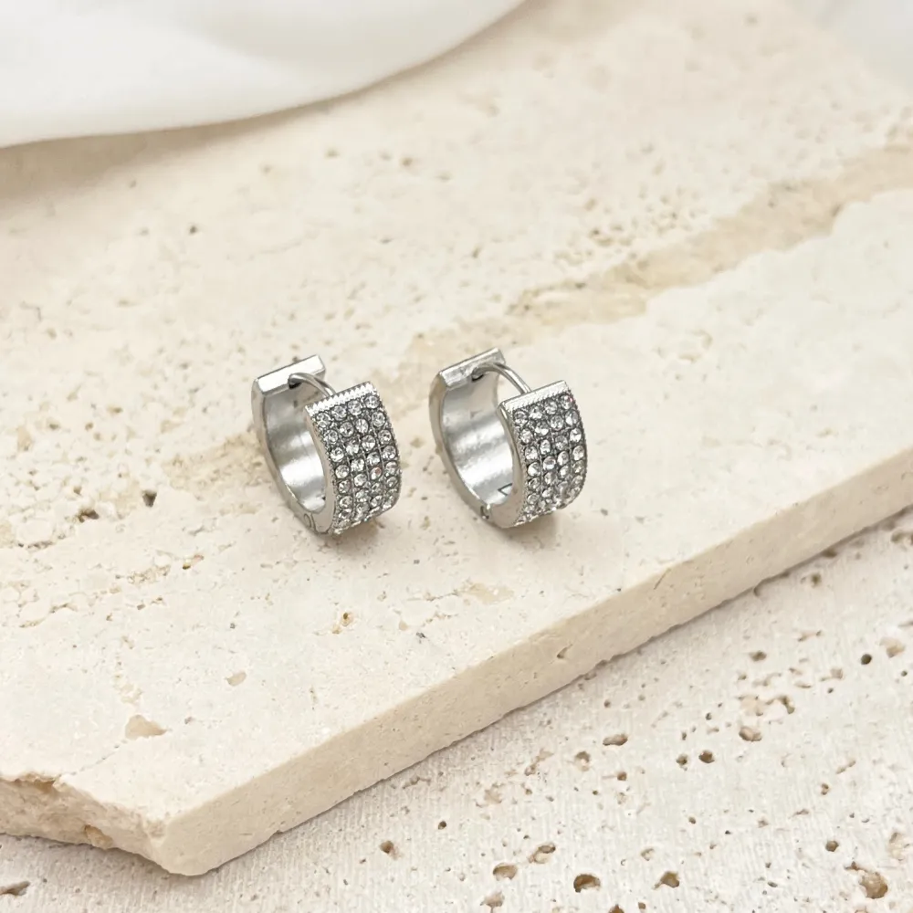 Cerchio con Strass -Orecchini in Acciaio - OAP-103-AA4660E