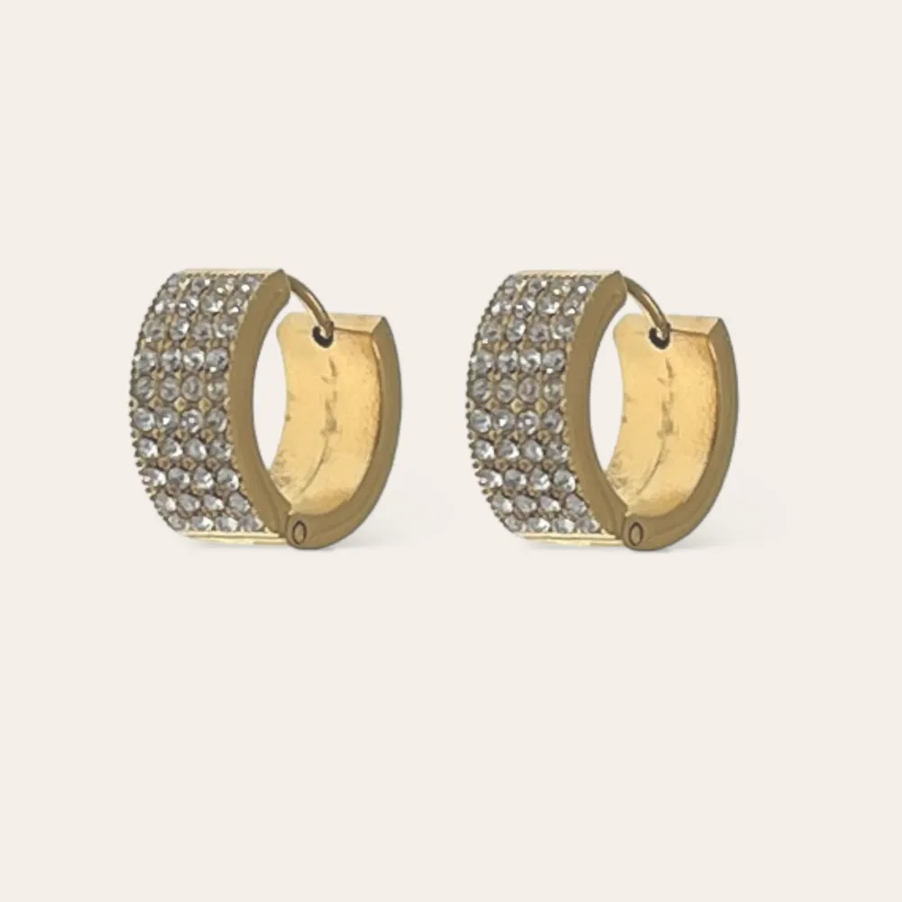 Cerchio con Strass -Orecchini in Acciaio - OAP-103-AA4660E