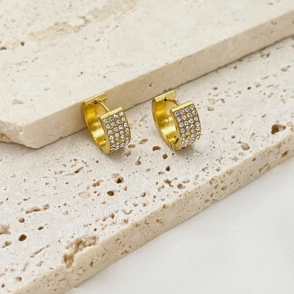 Cerchio con Strass -Orecchini in Acciaio - OAP-103-AA4660E