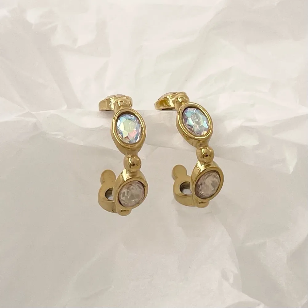 Cerchio -Orecchini in Acciaio - OAP-732-100