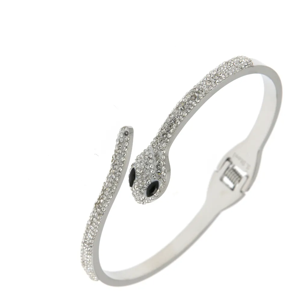 BAR6802-Serpente - Bracciale Rigido in Acciaio_Argento_1