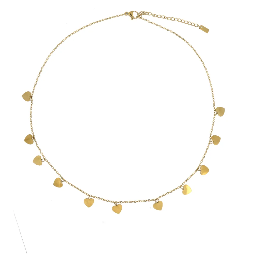 CAC-11 Cuori 5264 - Collana Corta in Acciaio_2