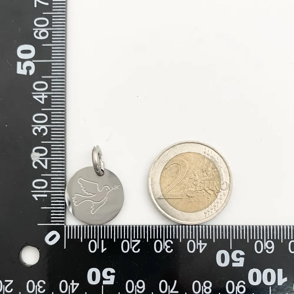 CIO4122-Colombo- Ciondolo in Acciaio