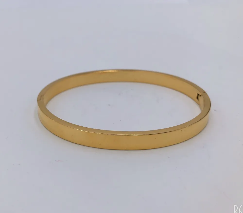 Liscio - Bracciale Rigido Acciaio_Oro Giallo_1