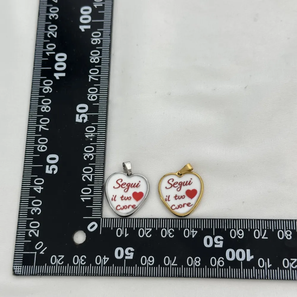 Segui il tuo cuore-Ciondolo/Charms in Acciaio - DIY-732-34