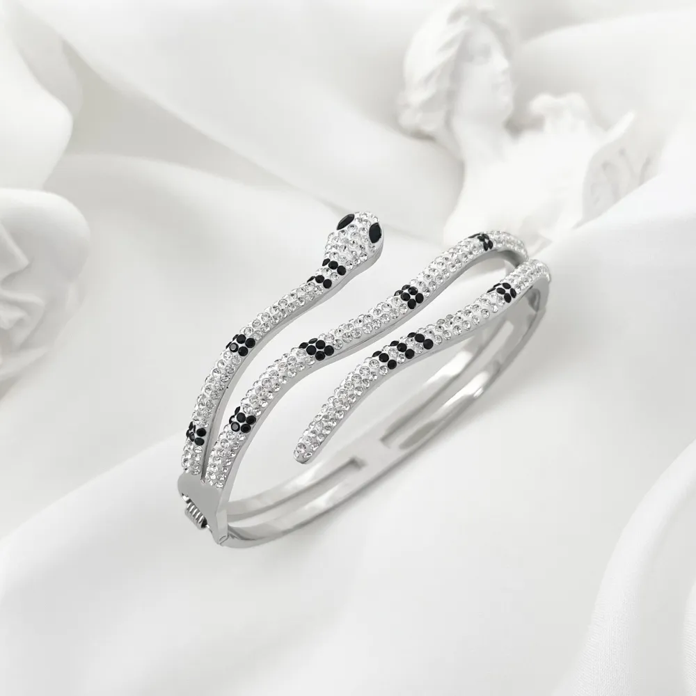 Serpente-Bracciale Rigido in Acciaio - BR-413-RT16 (Argento)