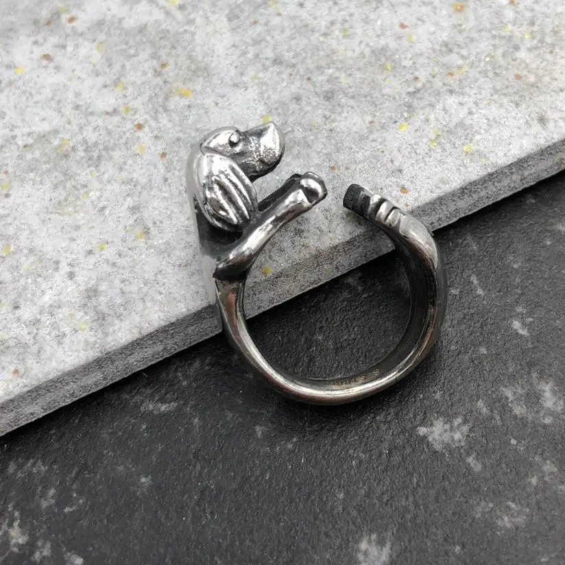 Cane-12 pz Anelli in Acciaio - AAU-518-07