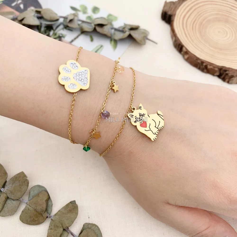 BAC413-2393-Zampa-Bracciale in Acciaio - BAC413-2393