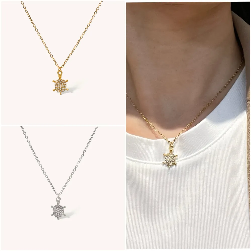 Zampa-Collana Girocollo in Acciaio - CAC-103-AA4649N (Argento)