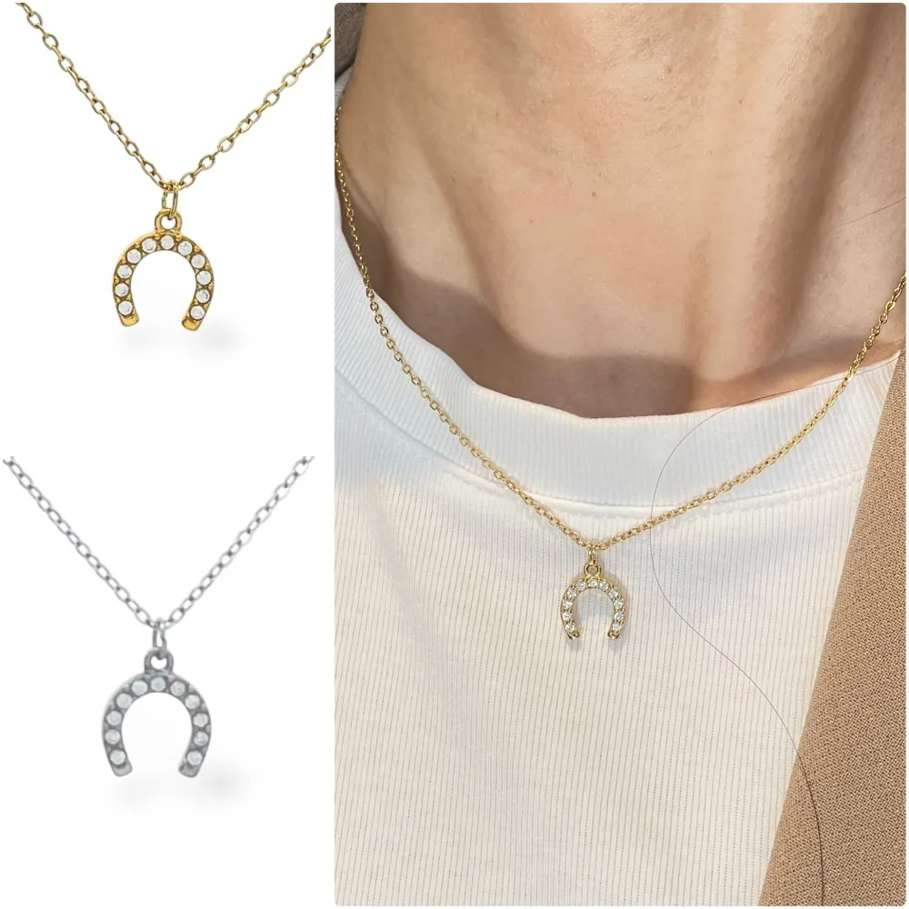 Ferro di Cavallo -Collana Girocollo in Acciaio - CAC-103-AA5663N (Argento)