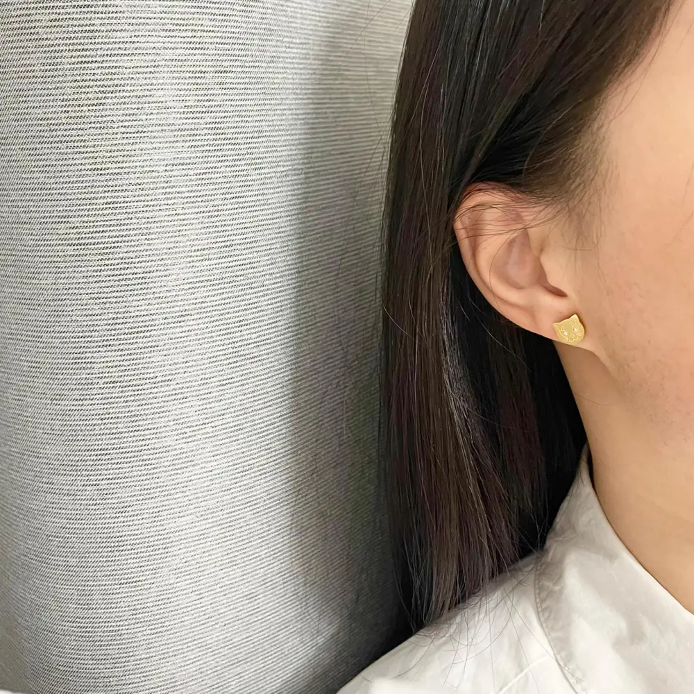 Gatto-Orecchini in Acciaio - OAP413-773