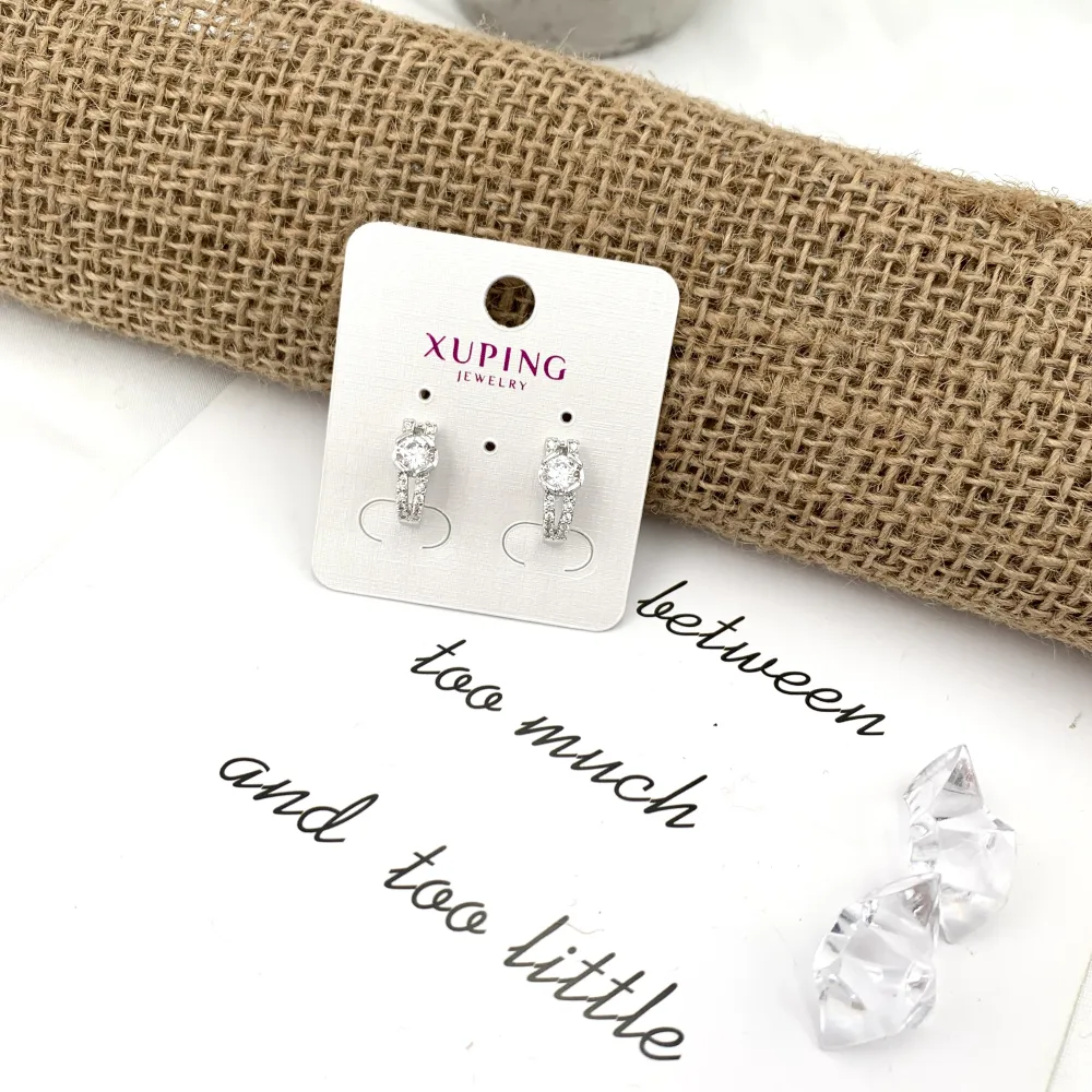 Cerchio-Orecchini con Zirconia - OMZ-XP7291