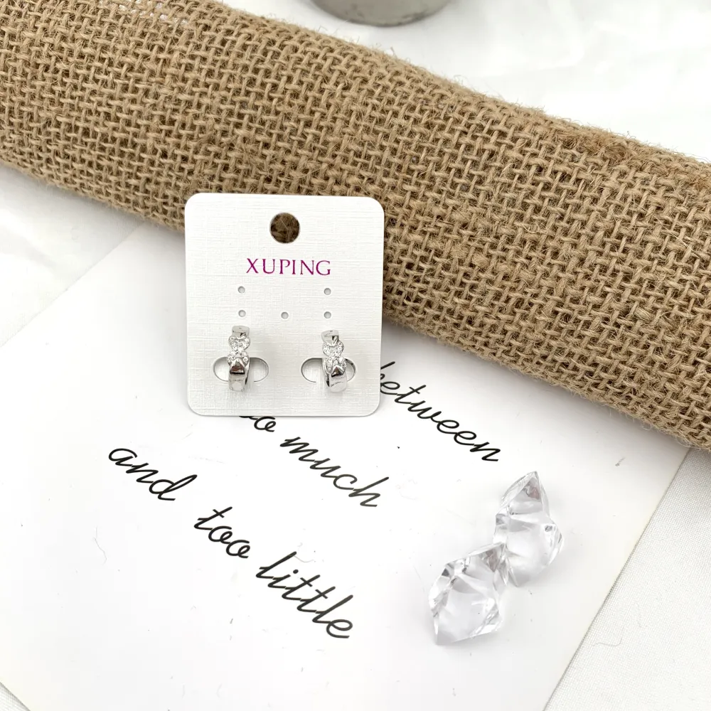 Cerchio con Infinito-Orecchini con Zirconia - OMZ-XP9159